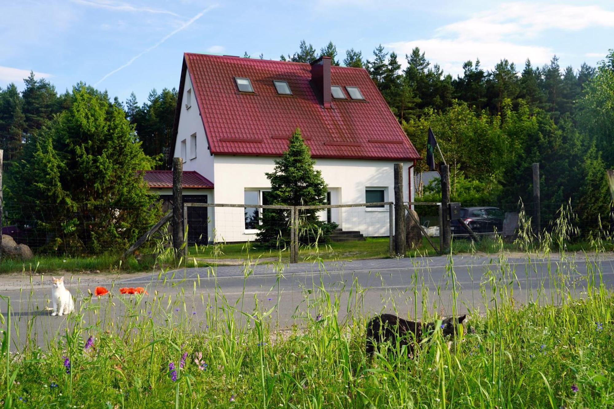 Lesna Kryjowka Lägenhet Trzebciny Exteriör bild